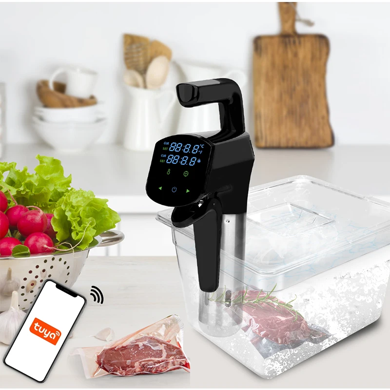 110V/220V 業務用真空調理器 高出力精密温度制御 家 - Home Cooking Steak のレビューと価格