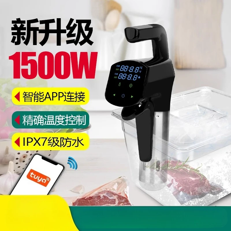 110V/220V 業務用真空調理器 高出力精密温度制御 家 - Home Cooking Steak のレビューと価格